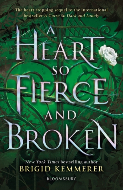Heart So Fierce Broken - Brigid Kemmerer