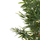 Bimë dekorative sintetike HM4737 Bamboo, 200cm, me vazo, jeshile