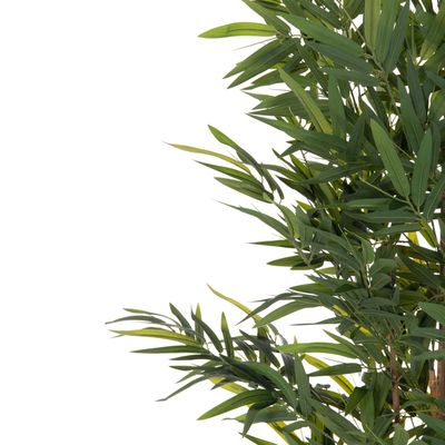 Bimë dekorative sintetike HM4737 Bamboo, 200cm, me vazo, jeshile