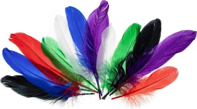 Pupla dekorative Brewis Goose Feathers Bright, 15-20cm, shumëngjyrëshe