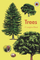 Trees - James Bywood