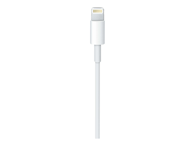 Apple USB-C to Lightning Cable - Lightning / USB - 1 m