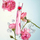 Eau de Toilette KENZO Flower By Kenzo Poppy Bouquet