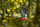 Kartë memorike Camouflage SD, 64GB, Class 10, e zezë