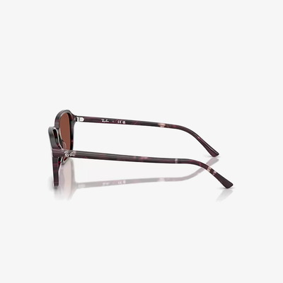 Ray-Ban RB2231 1416C5 58