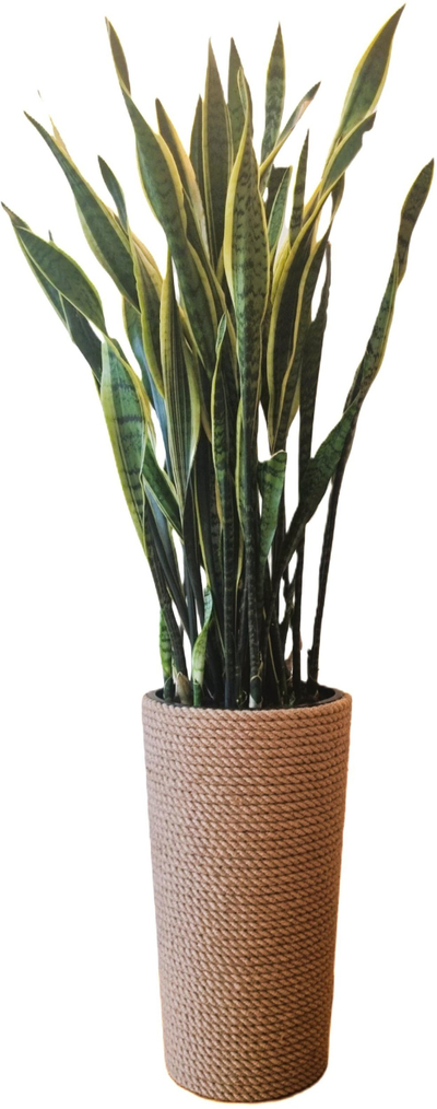 Vazo lulesh Adoni boho prej jute, diametër 32 cm, lartësi 57 cm, bezhë
