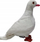 Lodër pelushi Beppe Eco Plush Mascot Pigeon, pëllum’ 22 cm, me materiale ekologjike, i bardhë