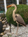 Figurë zbukuruese kopshti Ubbink Heron 1065739, PVC që s’e ha moti, kundër zogjve, gri