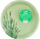 Pjata letre njëpërdorimëshe GoGreen, Ø22 cm, set 10 copë, të bardha