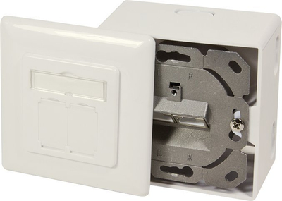 Kuti prize rrjeti LogiLink NP0124 CAT 6A, 2 porta RJ45, STP, e bardhë