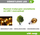 Furnizues energjie Whitenergy LED Ultra Slim 230V 30W 12V