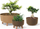 Vazo lulesh Prosperplast GRACIA STANDARD ECO WOOD, 20 cm, e bardhë