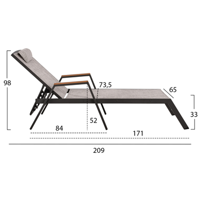 Shezllon profesional 209×65–73,5×33 cm (HM5559.02), gri