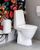 WC publik Sanita 6610, P trap i fshehur, shpëlarje 4L, e bardhë
