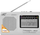 Radio LTC PS -2016 WILGA USB, argjendtë