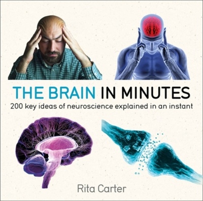 The Brain In Minutes - Rita Carter
