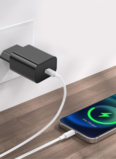 Ѕиден полнач Мsonic MY6623K, USB C PD, 20W, црн