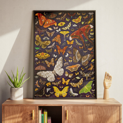 Puzzle Czuczu Puzzlove Moths, 1000 copa, 48 x 68 cm, shumengjyrësh