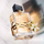Set për femra Yves Saint Laurent Libre, EDP 90 ml + EDP 10 ml