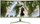 Monitor gaming Arozzi Nova 34", UWQHD, 165Hz, jeshile Forest Green