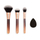 Set brusha kozmetike Revolution Infinite