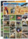 Loje memorie KOH I NOOR Picture Pairs Zoo Animals, letra çiftesh, kafshë kopshti zoologjik, plot me ngjyra