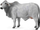Figurë Collecta: Lopa Brahman, 14.5x5x8 cm, +3 vjeç