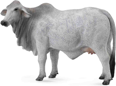 Figurë Collecta: Lopa Brahman, 14.5x5x8 cm, +3 vjeç