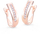 Vathë për femra Cutie Jewellery Z8018-55-10-X-4, rozë