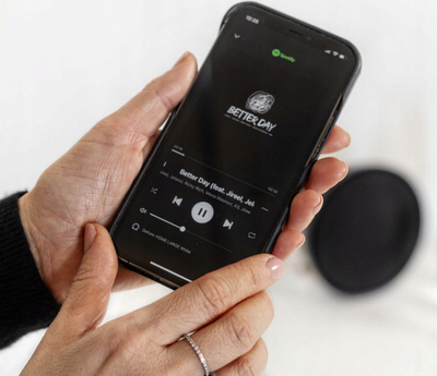 Altoparlant WiFi Defunc True Home Grande, multiroom, i zi