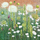 Kartolinë urimi Susan Entwistle White Flowers, me zarf, me lule të bardha