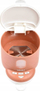 Aparat për bërjen e qumështit Beaba Bib'expresso 2‑në‑1, Night Terracota