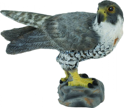 Figurinë lodër Collecta Falcon 004-88399, kafshë e egër, shumëngjyrëshe