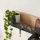 Varëse për rroba Decortie Liora 14x63x14cm, kafe e hapur/zezë