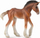Фигурина играчка Collecta Clydesdale Bay Foal, ждребе, повеќебојна