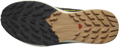 Këpucë vrapimi Salomon Sense Ride 5, meshkuj, gri