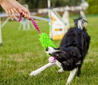 Lodër me tërheqje për qen Dingo Tug Mop Bungee, top gome me aromë vanilje, 46cm, rozë
