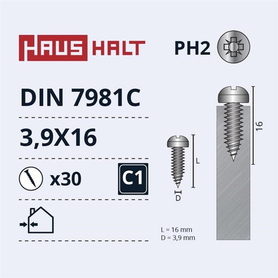 Vida vetëfiletuese SELF SCREWS, 3.9x16mm, DIN7981C ZN, 30 copë