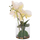 Bimë dekorative sintetike Phalaenopsis HM4738, vazo qelqi, 30cm, jeshile e bardhë