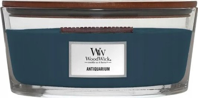 Qiri WoodWick Antiquarium Ellipse, 80 orë djegie, aromë duhan edhe dru, kafe