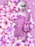 Ekstrakt parfumi Zimaya Fatima Velvet Love pZIM022, 100 ml