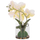 Bimë dekorative sintetike Phalaenopsis HM4738, vazo qelqi, 30cm, jeshile e bardhë