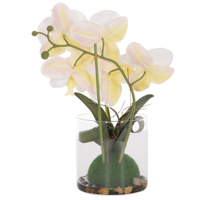 Bimë dekorative sintetike Phalaenopsis HM4738, vazo qelqi, 30cm, jeshile e bardhë