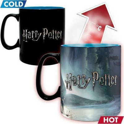 Gotë ABYstyle Harry Potter, 460 ml, shumëngjyrëshe