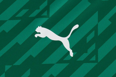Bluzë sportive Puma teamUltimate M, dryCELL, për burra, e gjelbër