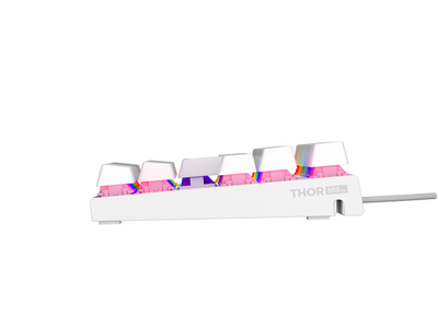Tastierë mekanike Genesis Thor 303 TKL, RGB, Outemu Peach Silent, e bardhë