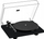 Gramafon Pro Ject Debut Carbon EVO, krah karboni, 33/45 rpm, i zi High Gloss