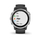 Orë e mençur Garmin Fenix 6S 010-02159-01, e argjendtë/zezë