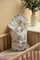 Mbështjellëse bebe Walk Baby Nest Cone, 75x75cm, me volan, e bardhë