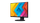 Monitor EIZO FlexScan EV2490-BK, 24", IPS, FHD, 60Hz, 5ms, i zi